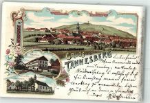 92723 W8481 Tännesberg 1899 Lithographie Schulhaus Wallfahrtskirche St. Jodok Messnerhaus