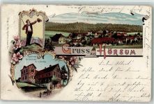 31061 W3220 Hörsum 1904 Gebrauchsspuren Gasthaus Zur Erholung E. Gerves Lithographie