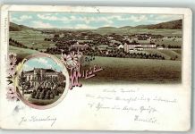 Wiese Wisznia Mala 1899 Lithographie Schloss Wiese