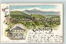 94513 W8351 Schönberg , Niederbay 1900 Lithographie Kaufmannsladen Strasser
