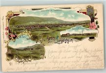 W3394 Langelsheim Bahnhof Marienhütte Frau Sophien-Hütte Kaliwerk Bahnpost Austhal-Goslar Stahlbau 1898 Lithographie