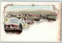 37589 W3355 Echte Lithographie Dampfbierbrauerei und Gasthaus Meynig