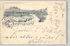 93133 W8412 Burglengenfeld 1898 Lithographie Vorläufer Naab