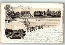 04774 O7262 Dahlen , Sachs 1905 Lithographie Bucha Gasthaus Zeuckritzer Straße
