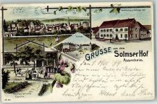 61130 W6361 Assenheim, Hess 1899 Lithographie Gasthaus Solmser Hof Restaurations-Garten Schloß