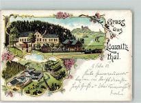 08294 O9407 Lößnitz 1901 Lithographie Gasthaus Haltestelle Garten