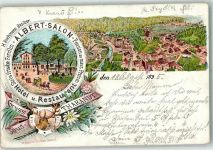 01737 O8223 Tharandt 1895 Lithographie Hotel Gasthaus Albert Salon H. Buchmann Hirsch Vorläufer
