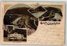 09405 O9360 Zschopau Lithographie Wilischthal Bahnhof Wilischtal