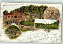 38154 W3308 Königslutter am Elm 1897 Lithographie Hotel Lutterspring Ballsaal Garten Ort lt. Stempel