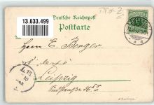 Zielenzig Sulecin 1897 Lithographie Promenade Post Kaiserdenkmal