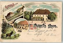 04880 O7294 Dommitzsch 1909 Lithographie Plants Haus Hirsch Ort handschriftlich
