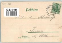 04880 O7294 Dommitzsch 1909 Lithographie Plants Haus Hirsch Ort handschriftlich
