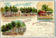 10115 W1000 Haselhorst 1898 Lithographie Gasthaus Barthels Waldschlösschen Kutsche Neuer Saal