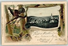 79736 W7884 Rickenbach , Hotzenw Prägedruck Passepartout Auerhahn Lithographie