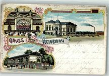 01809 O8312 Heidenau , Sachs 1902 Lithographie Gasthaus Heidenau Garten Speisesaal