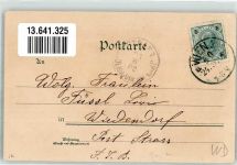 Durban 1902 Lithographie Kirche Mariannhill Vogel Strauss