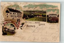 Niemes Mimon 1904 Lithographie Hotel Leder
