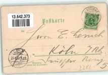 32839 W4939 Steinheim , Westf 1898 Lithographie St. Marcus-Linde St. Rochus Hospital Kriegerdenkmal Pyrmonter Straße