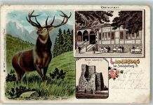 06507 O4301 Stecklenberg 1916 Lithographie Lauenburg Hirsch Ruine Lauenburg Gasthaus