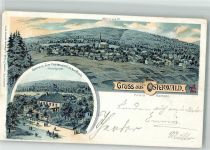 31020 W3216 Osterwald b Elze, Leine 1900 Lithographie Gasthaus zum Fichtenwirth