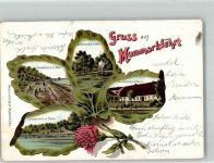 Tandslet Sogn 1902 Lithographie Ort lt. Stempel Mummarkfähre