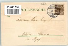 55597 W6556 Wöllstein , Rheinhess 1898 Lithographie Präparandenanstalt Germaniaplatz Wilhelmslust Bahnhofstraße