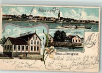 63477 W6457 Dörnigheim 1906 Lithographie Gasthaus zur Mainlust Main-Raddampfer