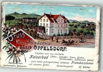 Bad Oppelsdorf Opolno Zdroj Lithographie Villa Dresdensia Kutsche