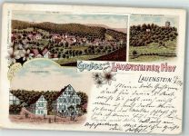 31020 W3216 Lauenstein , Niedersachs 1900 Lithographie Gasthaus Lauensteiner Hof