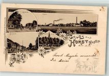 25358 W2203 Horst Holstein 1898 Lithographie Ortsansichten von Horst