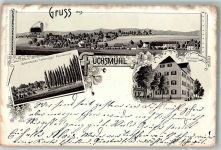 95689 W8591 Fuchsmühl 1901 Lithographie Zollerisches Lehngut Fuchsmühle Ottobad Wiesenau