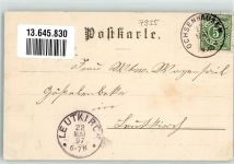 88416 W7955 Ochsenhausen 1897 Lithographie Kloster Ochsenhausen