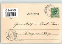 26655 W2910 Westerstede 1899 Lithographie Im Wittenheim Schloss Fikensolt