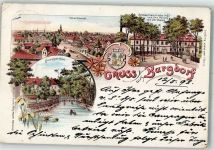 31303 W3167 Burgdorf , Kr Hannover 1898 Lithographie Schloss