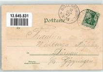 88416 W7955 Ochsenhausen 1907 Lithographie Rathaus Schwanenteich Bahnhof Hotel Vogelbeeren