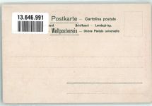 Der Rosenbaum und sein Ableger Antisemitismus Künstlerkarte