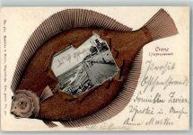 Kranzin Krzecin 1901 - Ufer Scholle