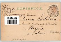 Kamenice nad Lipou Kamnitz an der Linde 1899 Lithographie Schule