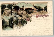 26655 W2910 Westerstede 1900 Lithographie Kirchstraße Schloß Finkensolt Gerdkröger Rosenknospen