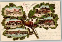 15344 O1260 Strausberg 1900 Lithographie Eichenblatt Forsthaus Blumenthal Landsberger Tor Schlagmühle Wolfsthal