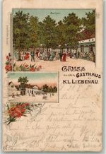 04435 O7103 Kleinliebenau 1903 Lithographie Gasthaus zu Klein Liebenau Gartenwirtschaft