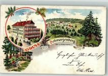 72270 W7292 Schwarzenberg Lithographie Gasthaus zum Löwen Kutsche Waldlichtung