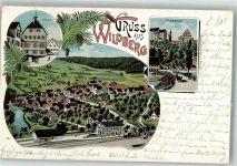 72218 W7277 Wildberg , Württ 1900 Lithographie Bahnhof Rathaus Klosterbrücke