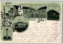 72160 W7240 Sulz am Neckar 1905 Lithographie Denkmal Bahnhof Marktplatz Oberamt Ruine Albeck Weilerhaus