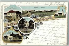 01561 O8281 Priestewitz 1899 Lithographie Bahnhof Bahnhof-Gasthaus Gasthaus Priestewitz Dorfkirche