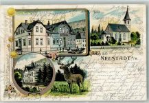 98701 O6314 Neustadt a Rennsteig 1907 Lithographie Hirsch Forsthaus Gasthaus Arnstädter Hof Bahnpost Plaue