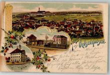 88416 W7955 Ochsenhausen Lithographie Rathaus Schwäne Bahnhof Bahnhof-Hotel Apfelzweig