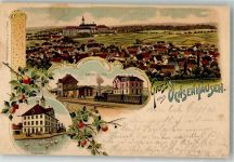 88416 W7955 Ochsenhausen 1900 Lithographie Rathaus Schwanteich Bahnhof Bahnhofhotel Apfelzweig
