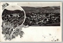79639 W7889 Wyhlen 1899 Lithographie Kloster