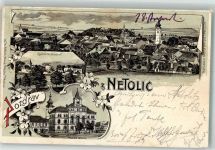 Nettolitz Netolice 1902 Lithographie Schloss Rathaus